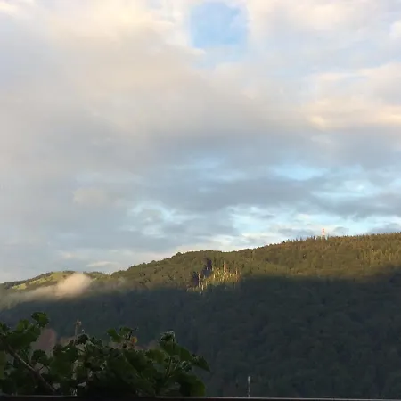 Arnika 게스트하우스